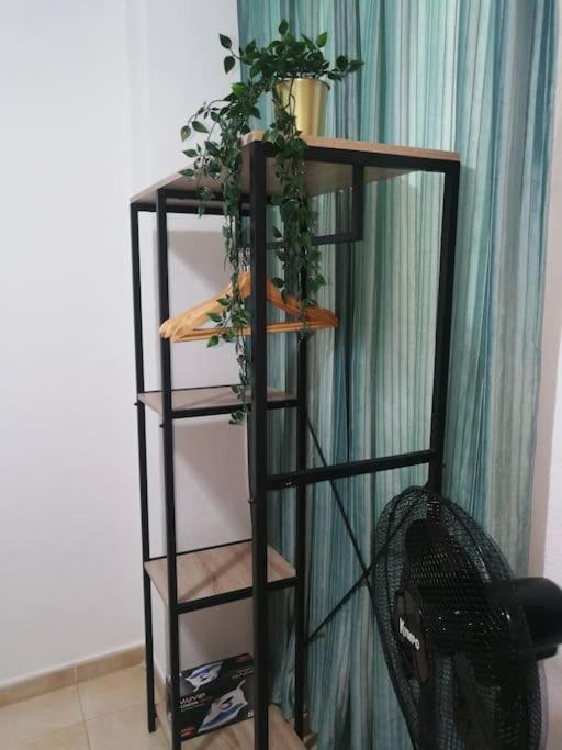 Acogedor Atico Con Terraza En San Cristobal De La Laguna 外观 照片
